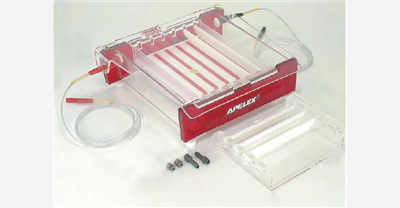 MidiGel XL